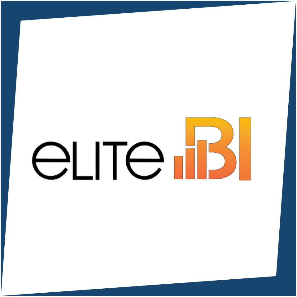 ELİTE Bİ BIİLİŞİM VE DANIŞMANLIK HİZMETLERİ ANONİM ŞİRKETİ KOCAELİ ŞUBESİ