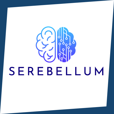 SEREBELLUM BİLİŞİM DANIŞMANLIK LTD. ŞTİ