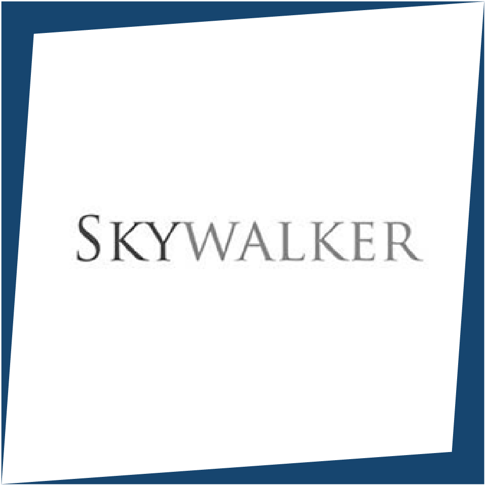 SKYWALKER TECHNOLOGİES BİLGİSAYAR YATIRIM VE SAN. TİC. A.Ş.
